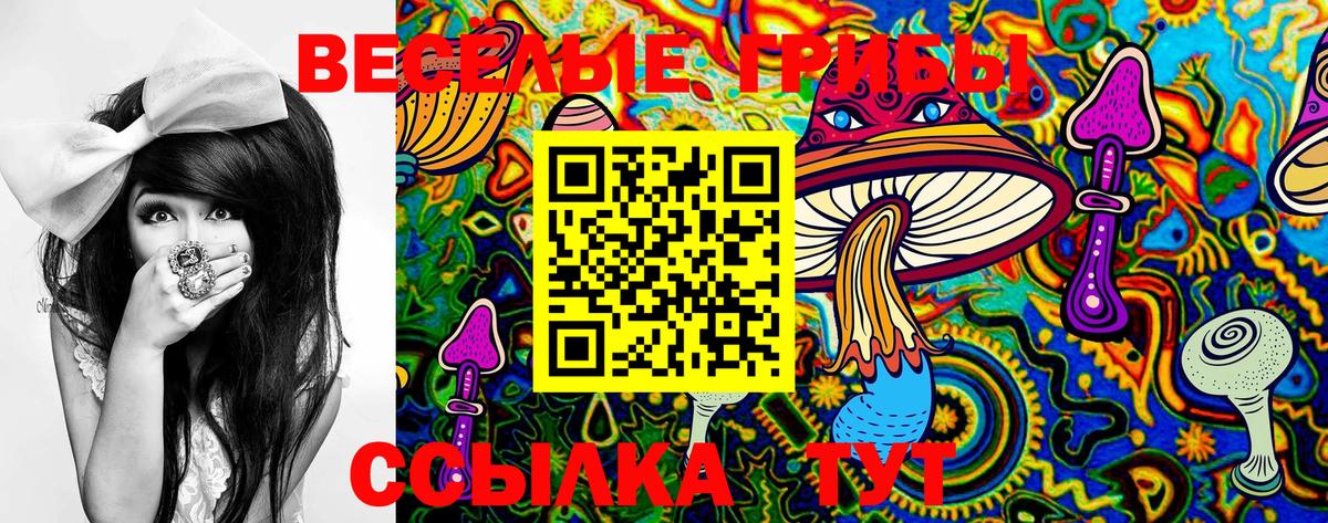 Отрадный  сколько стоит  Вход с VPN  Псилоцибиновые грибы GOLDEN TEACHER 
