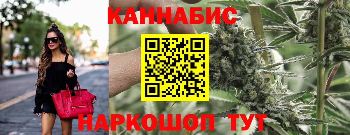 Бошки марихуана конопля Отрадный